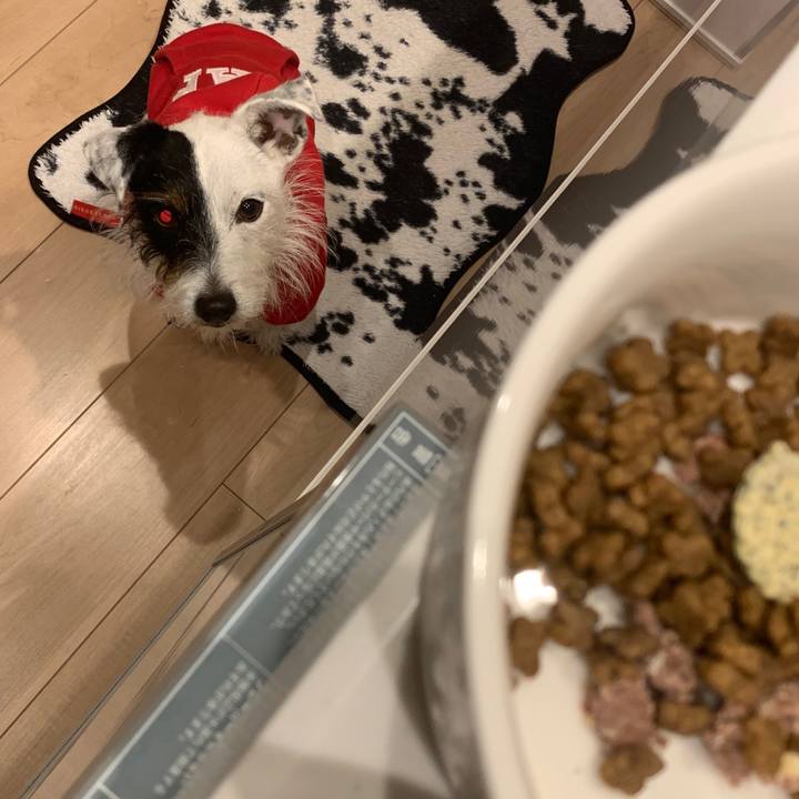 6b5ab91c c287 4af6 a56d 071a3dda7b16 1574239991171