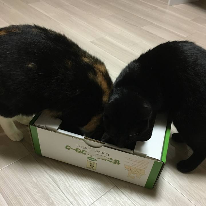 6b5abd3b 511a 436a 952e 9be7ec3f48e4 1515154699747