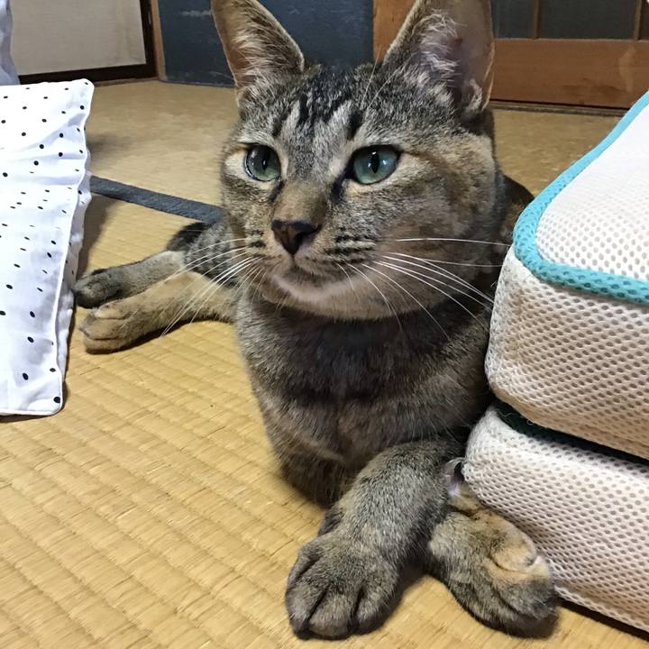 6b5ac471 870b 414a aef1 d322daf89539 1597305921485