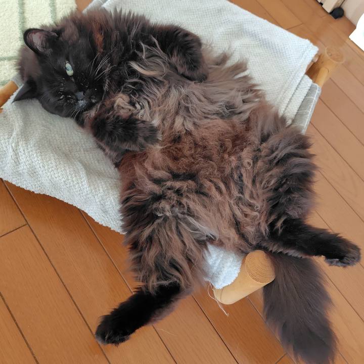 6b5acc56 d0e2 4eca 89f0 d28b9db42128 1770853396861