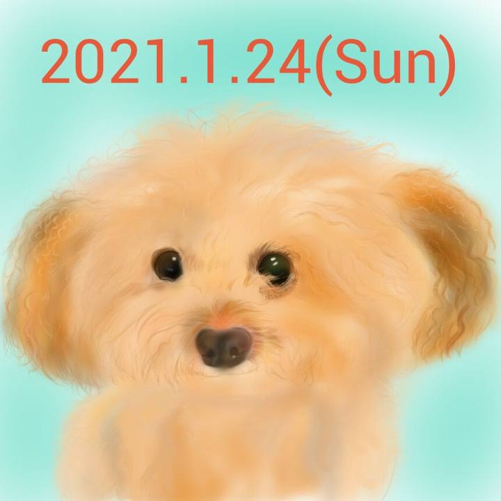 6b5ad8a6 dc6d 4d4a a9a5 f7d51d3679ab 1611486769175
