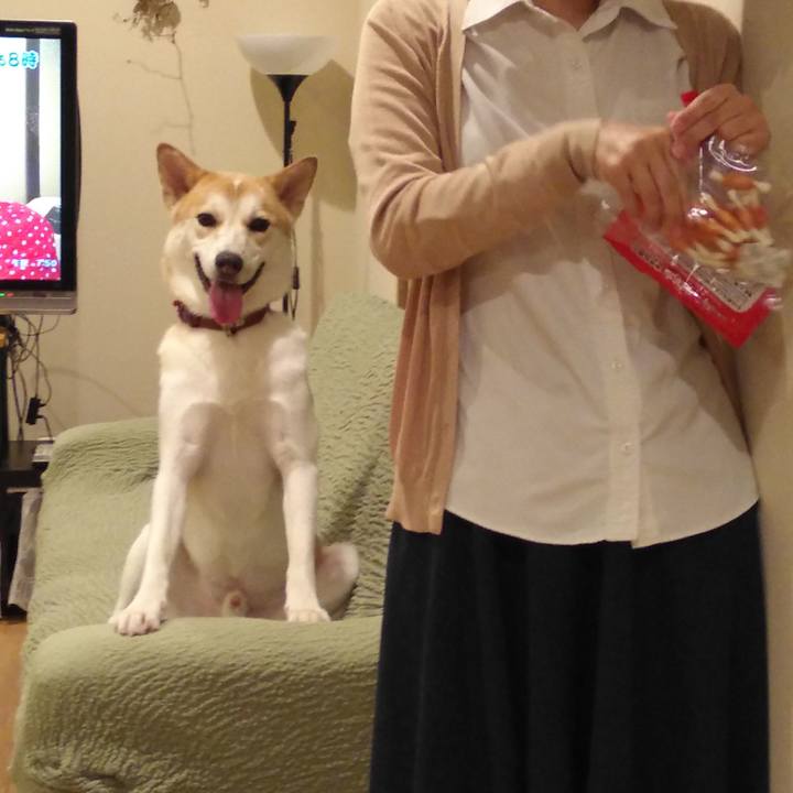 6b5b022a 94b7 4268 bef6 8a5c74000e3b 1534418677810