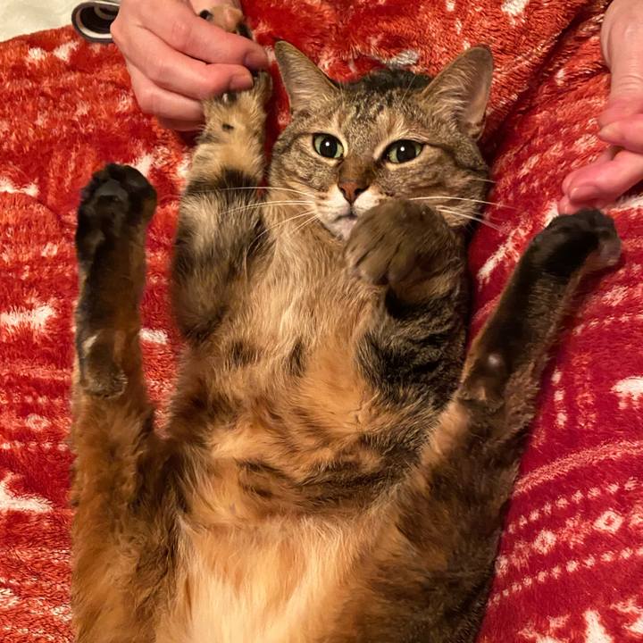 6b5b1570 006d 4fa9 b382 533021d85d8b 1642472064301