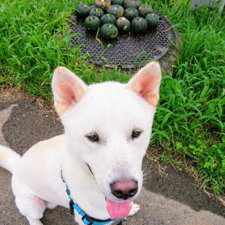 6b5b1ea9 5d13 4a7b b275 6ca530ea5b8f 1536032960605