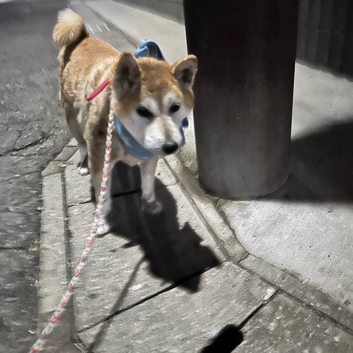 6b5b4a26 fd8d 4bed 955c 212459a18579 1763716880530