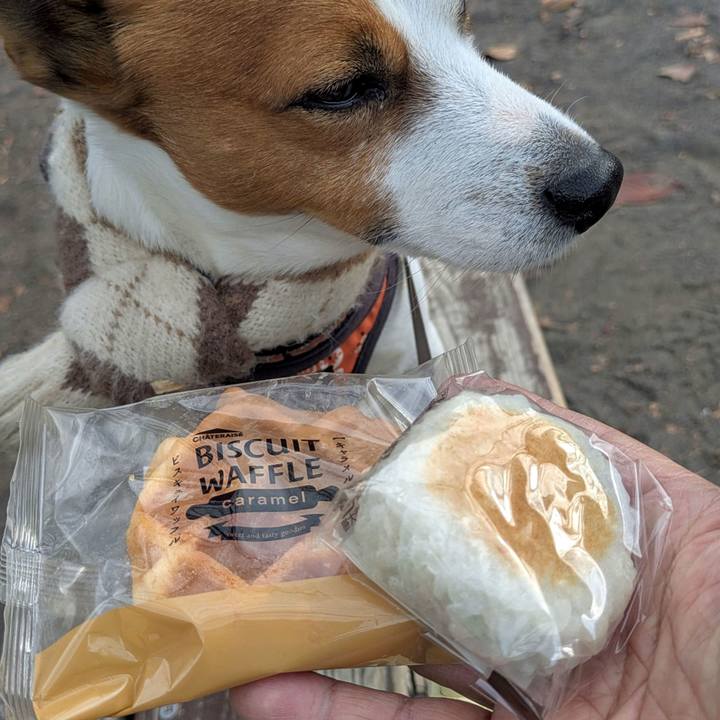 6b5b8a6e 8b64 4446 aa8f 1d9924a21924 1765431604670