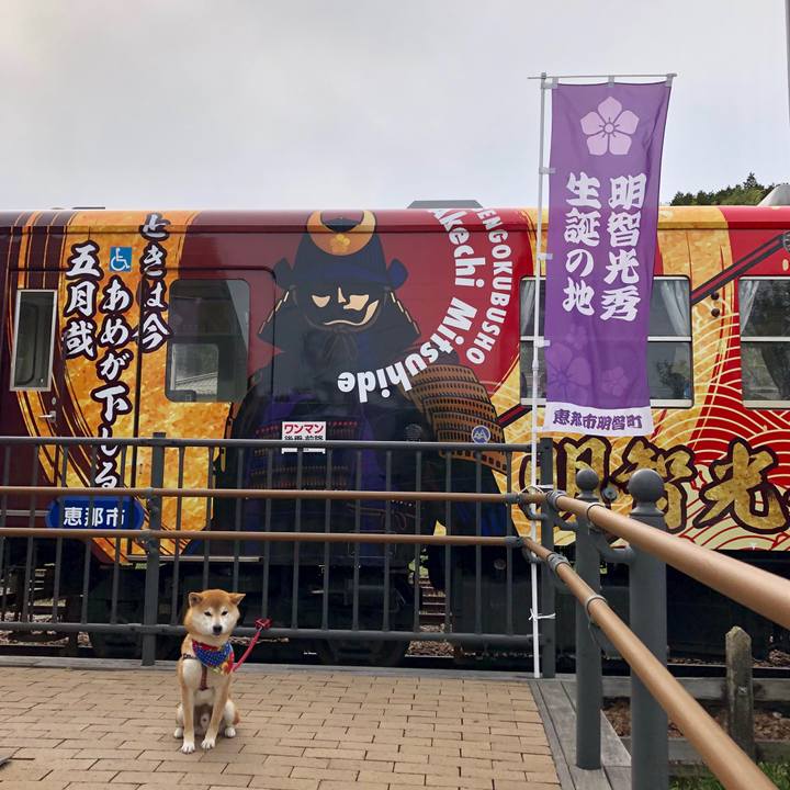 6b5b9472 9514 46b5 b2fe 83318ce2b2d8 1556439369364