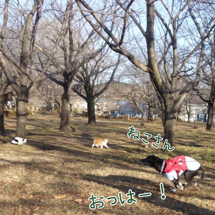 6b5ba99e 3e2d 4e8f a6db 72b6ef8866d8 1673227699261