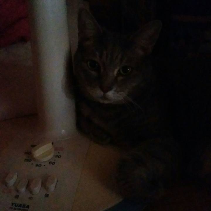 6b5baa7b 7ccd 4623 9519 7da0ebf59b43 1534539735002