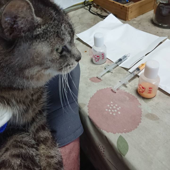 6b5c3953 2aa6 4863 a446 6975b54cc62e 1586813311870