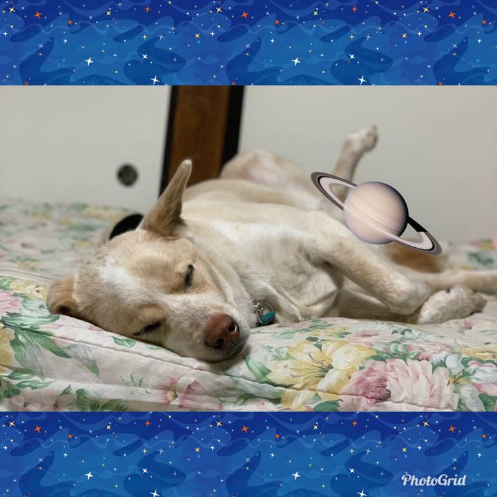 6b5c4f7e 4973 422b 9206 9ec6bb6ed459 1556026038262