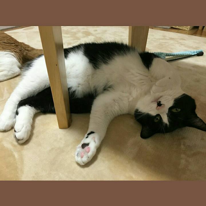 6b5c6a8b 5395 46f1 a27a 37d1136a8b17 1509759068122