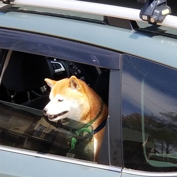 6b5c7ea2 9a4a 4523 85be e3fa11211dc2 1557551718883