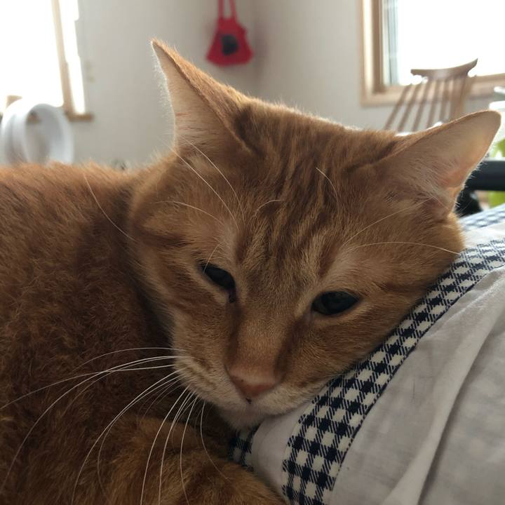 6b5c82a3 32de 420f a444 c0eef5a62671 1608336840554