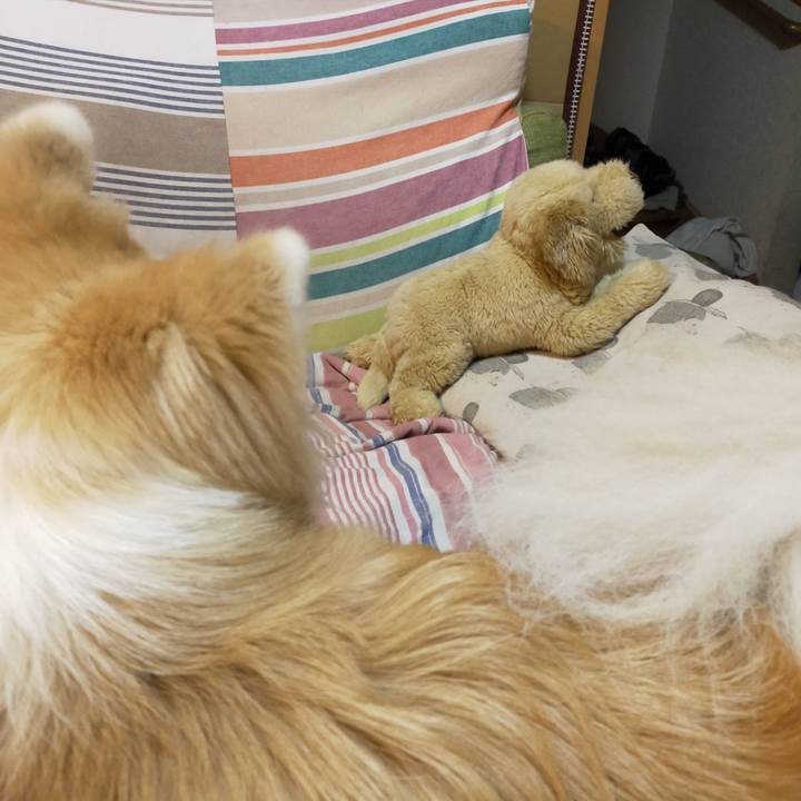 6b5cb0f5 4d67 4df4 ad9b 5c71e21c0add 1661175598469