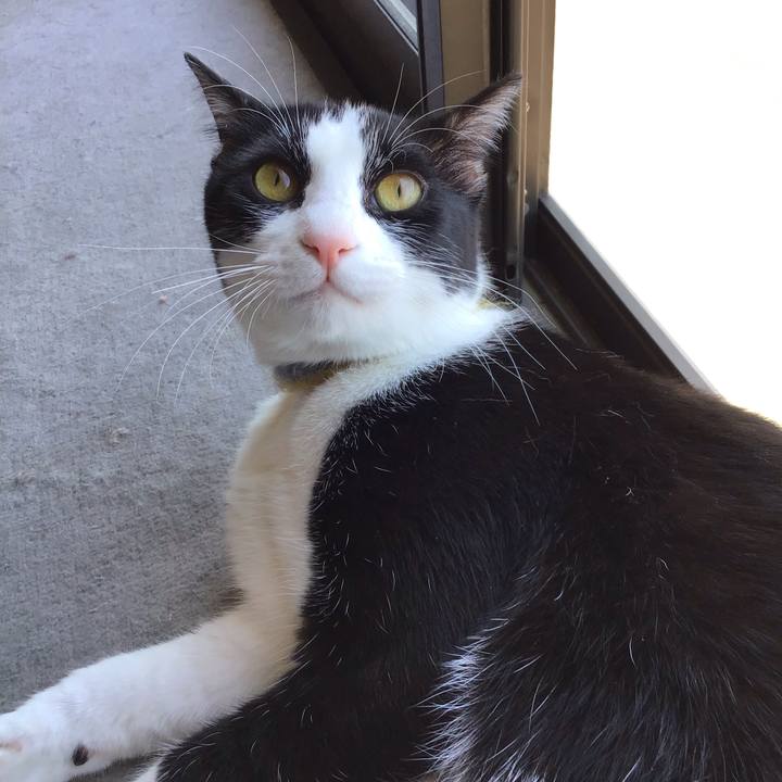 6b5cb6a7 4a87 4aab b426 e7386bd446b4 1653700793583