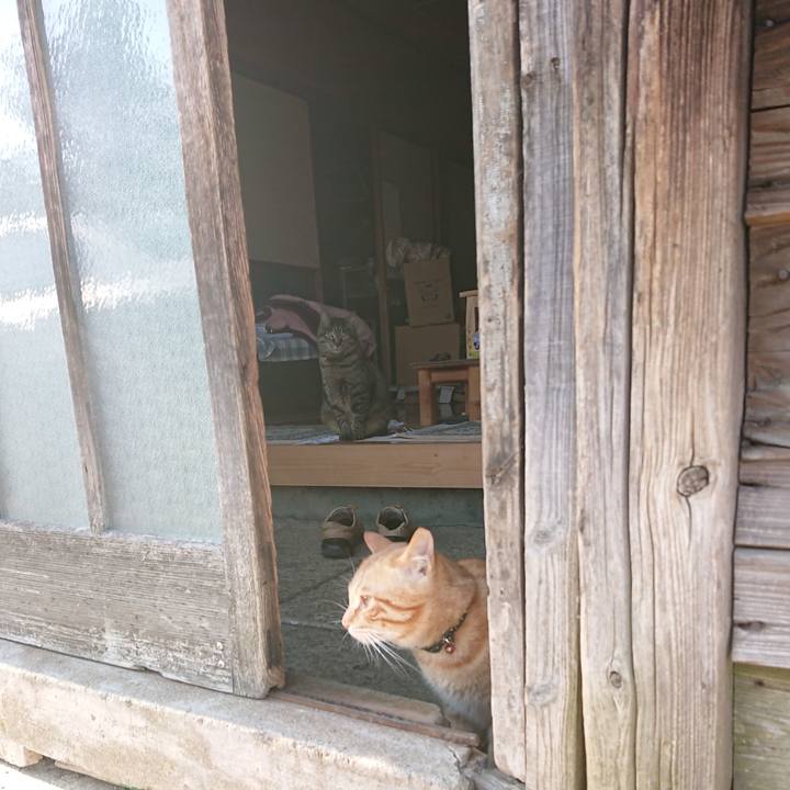 6b5cc0b7 900b 4aaf a2b7 51ec84044a49 1650353467773