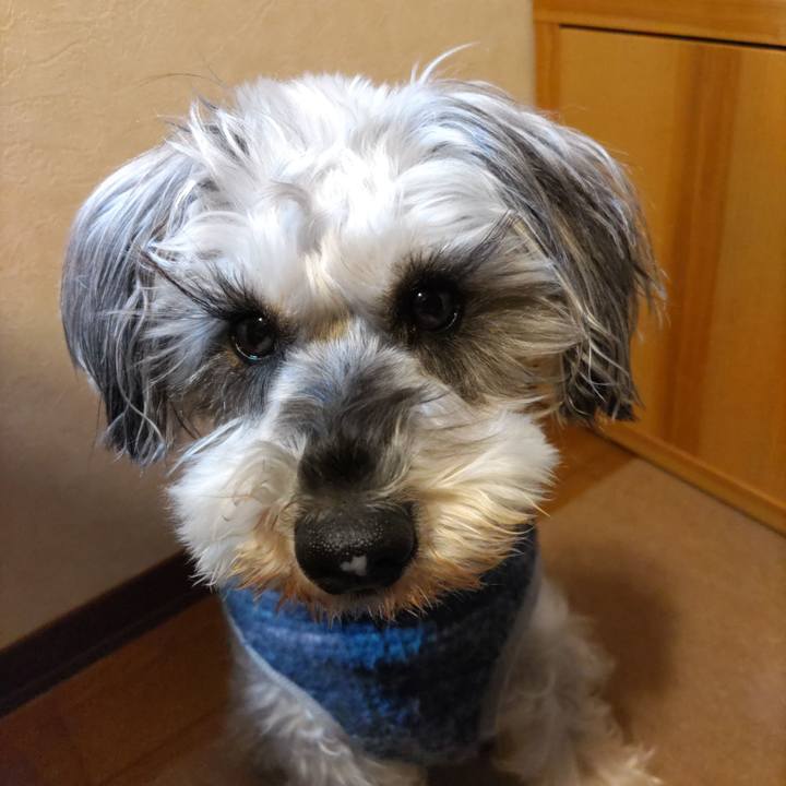 6b5cc89c 65b2 4b51 8df5 f8146bf53876 1737027596287