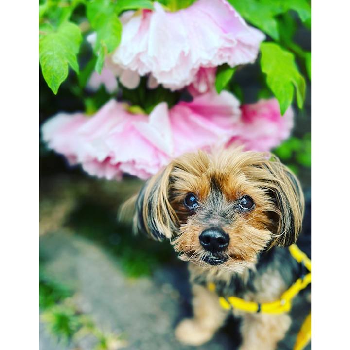 6b5d1bb9 ec82 48ec 9662 e3027ba8196e 1680910234632