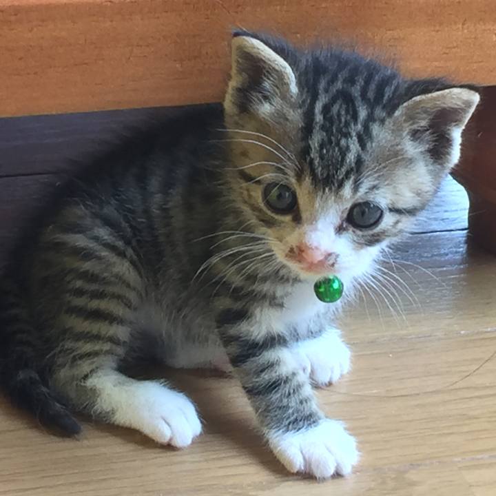 6b5d1c26 586c 45ef 8835 1d946ca85a13 1651215425381