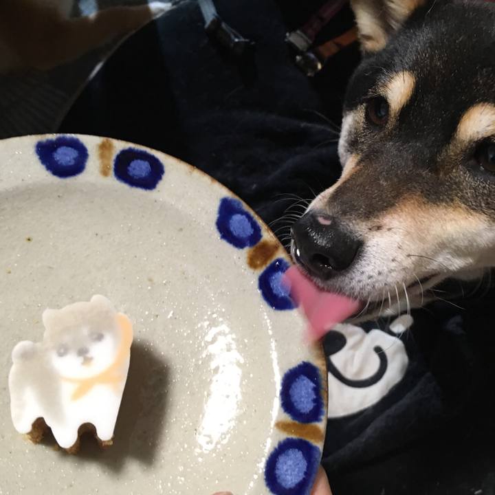 6b5d28b1 2e0e 4c51 94f2 8a2914a7913e 1555540352429