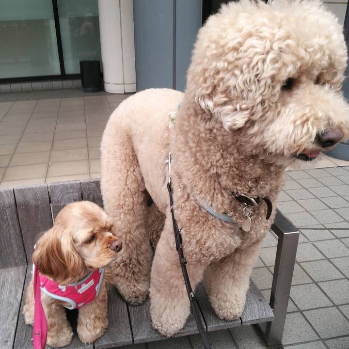 6b5d2995 e5cf 469b abed c41b48ac63da 1543063024317