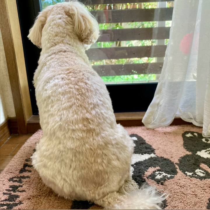 6b5d451e 142a 4edb 9aaf 088c66123c5c 1763249073104