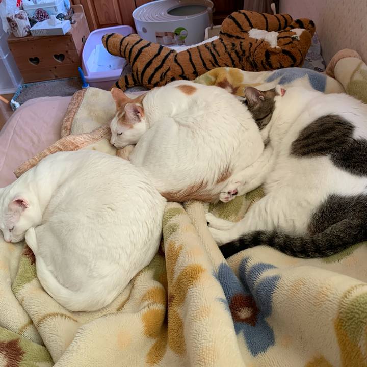 6b5d63a4 c943 4585 91a1 87f6a588943e 1615679463190