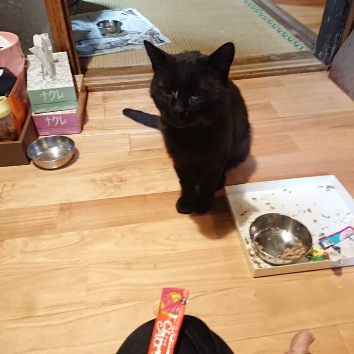 6b5d8486 98ad 4cbc a49b a6f75f87bed1 1623756718587