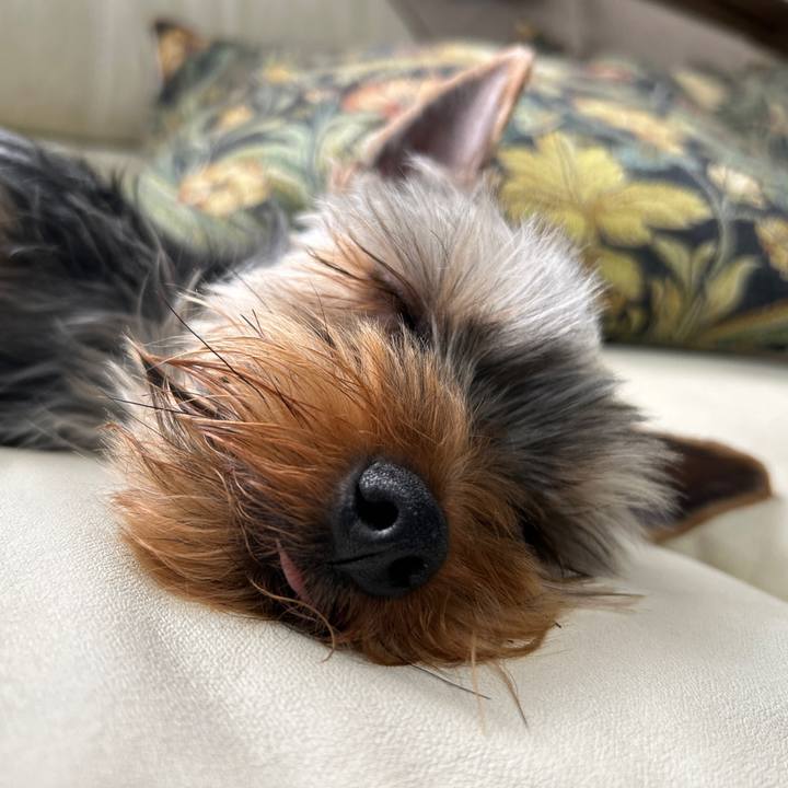 6b5db25b 01b1 4eb7 983b 4b628942c361 1745900458010