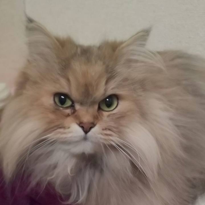 6b5dd8e9 a7b4 4c97 90dd a2e9f05509ae 1613606603072