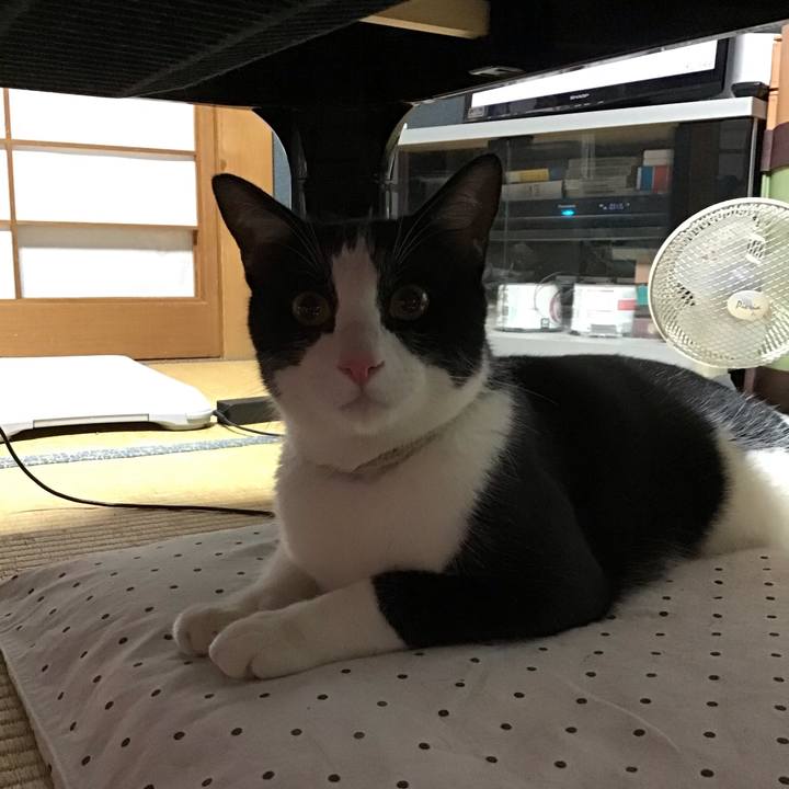 6b5ddd44 e130 4a4b bfcc d910f244785d 1656674432780