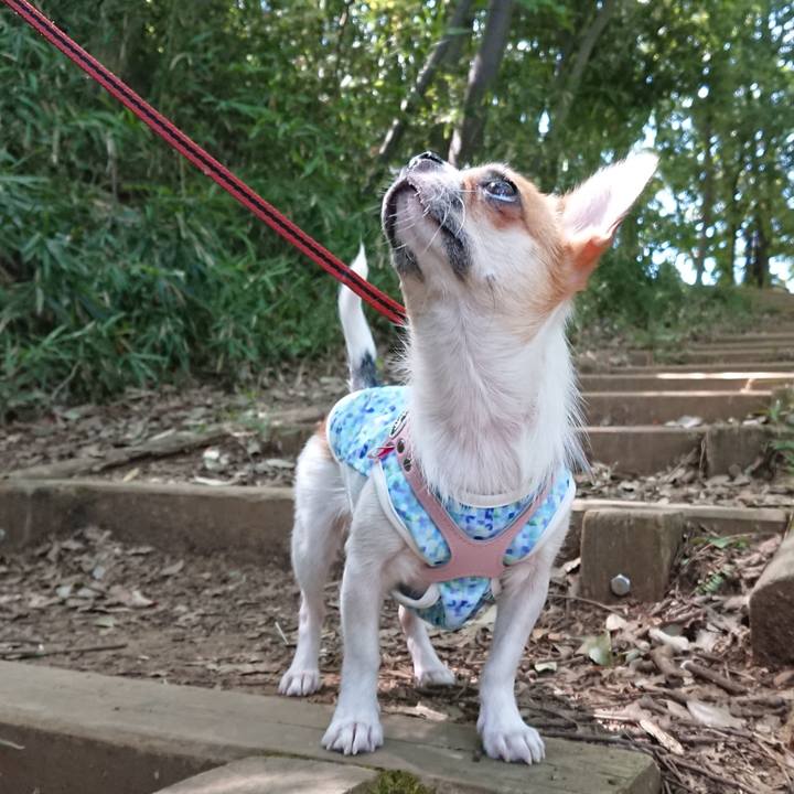 6b5de3e2 2c80 4412 a3bd d636594f03f2 1534738826497