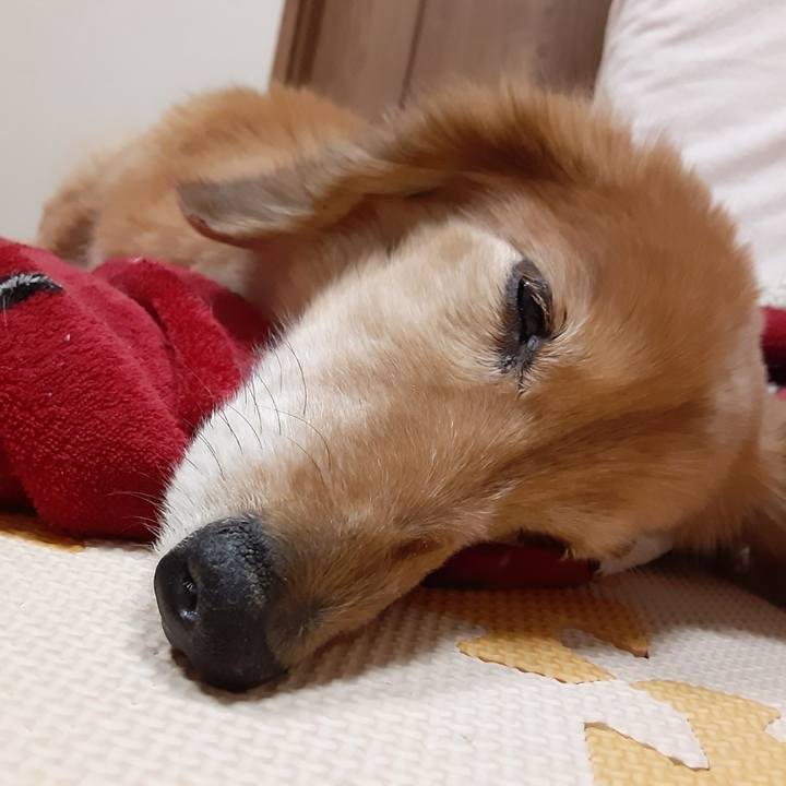 6b5e1716 3ae8 48ff a28b c21ce8c991e9 1645252231068