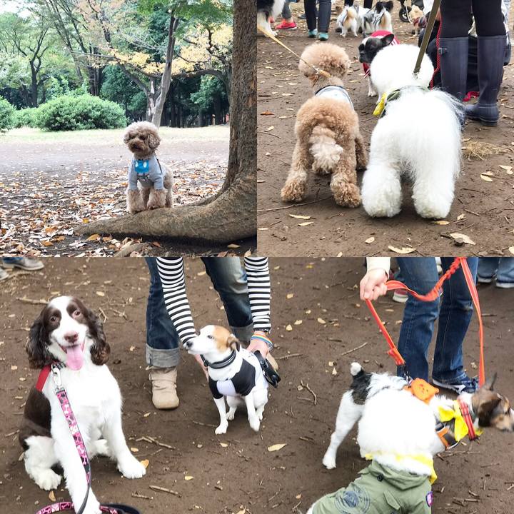 6b5e212b 0ac5 4eb8 ab23 81af3a89a96e 1509343625330