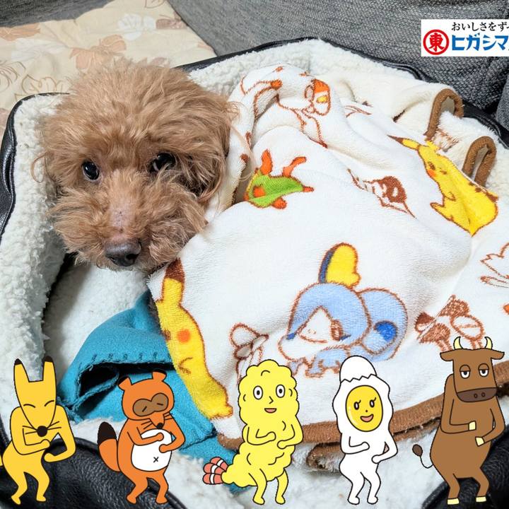 6b5e3d46 ba58 417b 8d64 20322f16f0d0 1769506409206