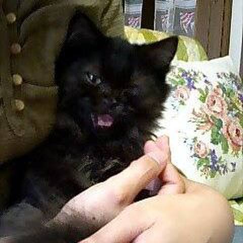 6b5e5550 8b9e 4ee7 93f4 e2a735b81524 1534490276710