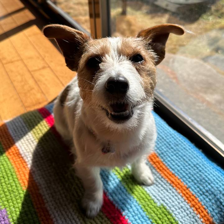 6b5e6b86 8fec 4e80 beeb 110bcf5bc9be 1772241632370