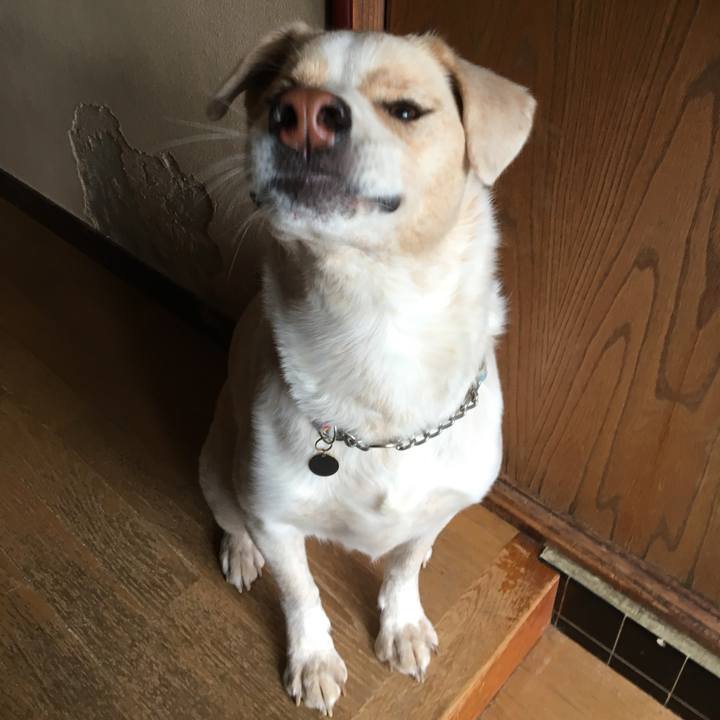 6b5e6f8e a8e2 4c96 bb59 cd1a980ea4ac 1541814382623