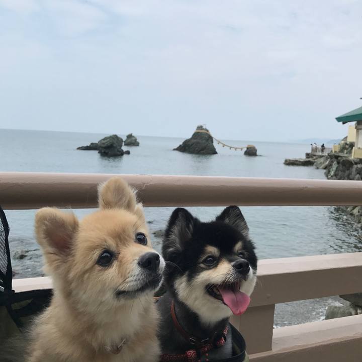 6b5e8e81 f011 46f6 bf82 949777e7682f 1573642336992