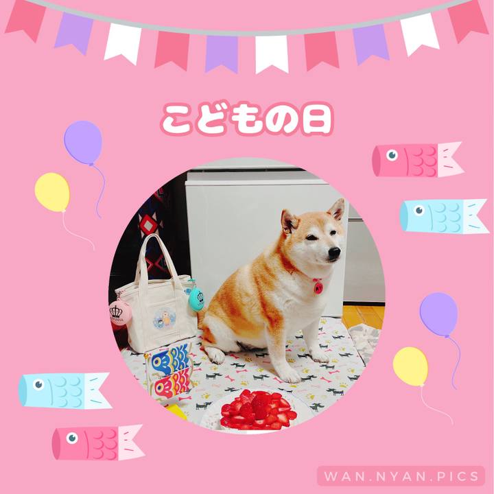 6b5ecc21 e07f 4280 9da0 b0fdc182c77c 1683241238170