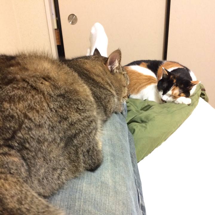 6b5ee71a d93c 4338 944f b36ff2a29668 1573983325696