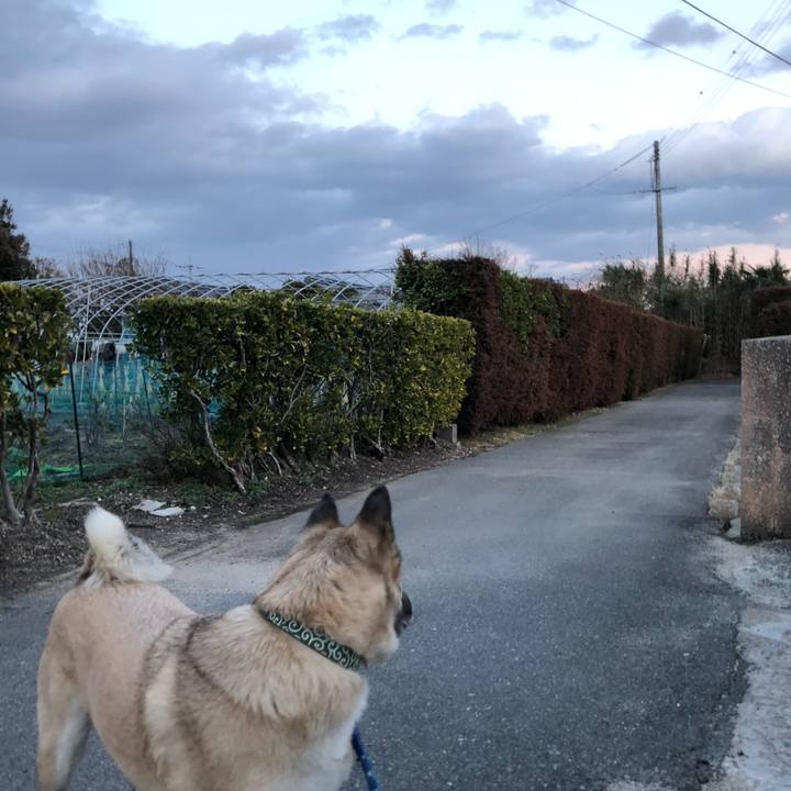 6b5eff89 2446 4de6 9ae4 89bd2538f004 1613474624160