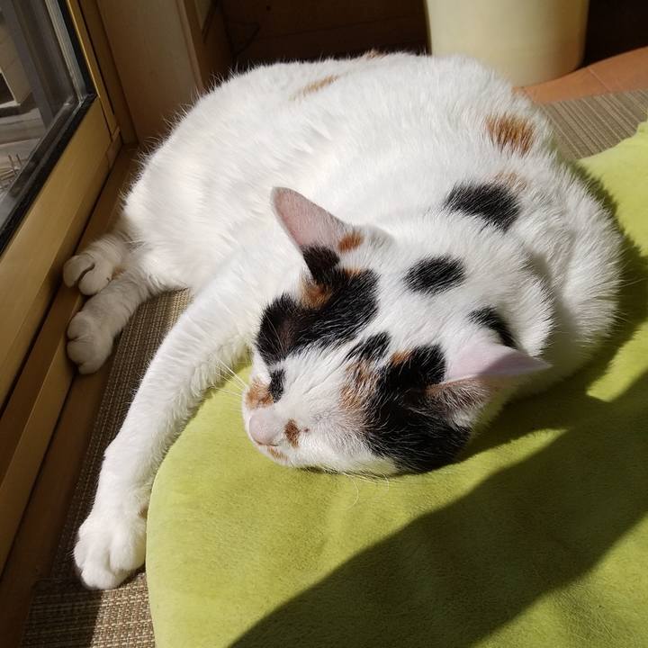 6b5f103f e845 437d 8426 7653280f93d5 1615772379620