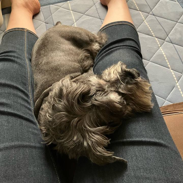 6b5f1721 1f5b 457d ba89 e9f296440f4f 1726638344745