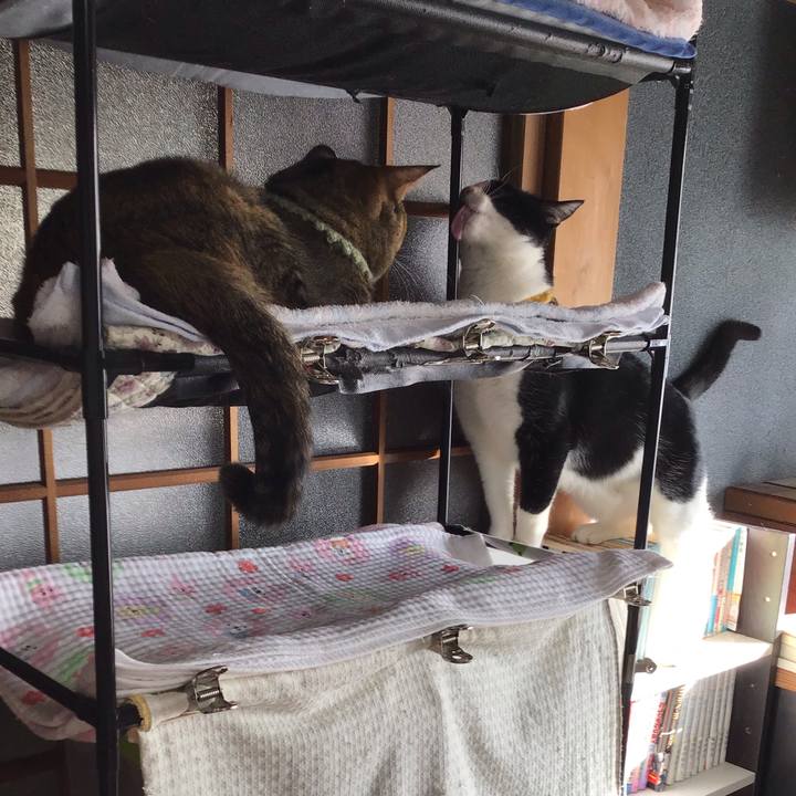 6b5f3633 3f81 431b 9b68 a12f82cd9b9a 1645667506881