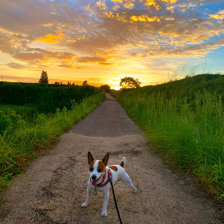 6b5f6d2d fc6c 460a a8c6 313ad7cadb32 1565004340451