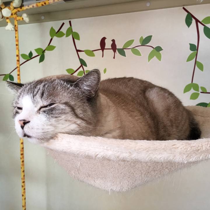 6b5f9ac9 9dee 4e08 82b9 49fedea2bae0 1547869679989