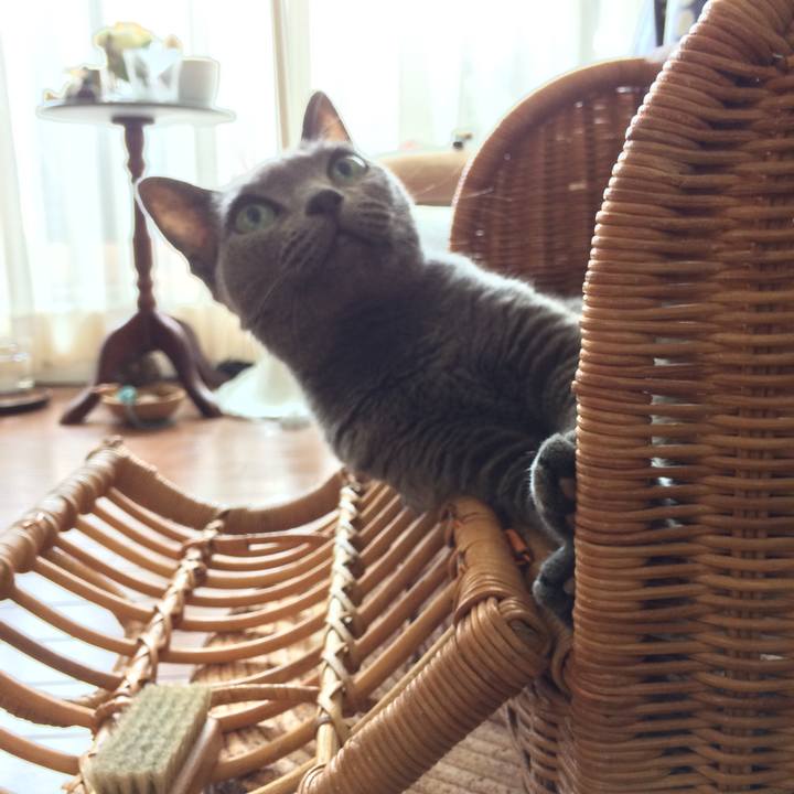 6b5fdabc 3041 4b2e 9ade edd19e18be9a 1533386830859