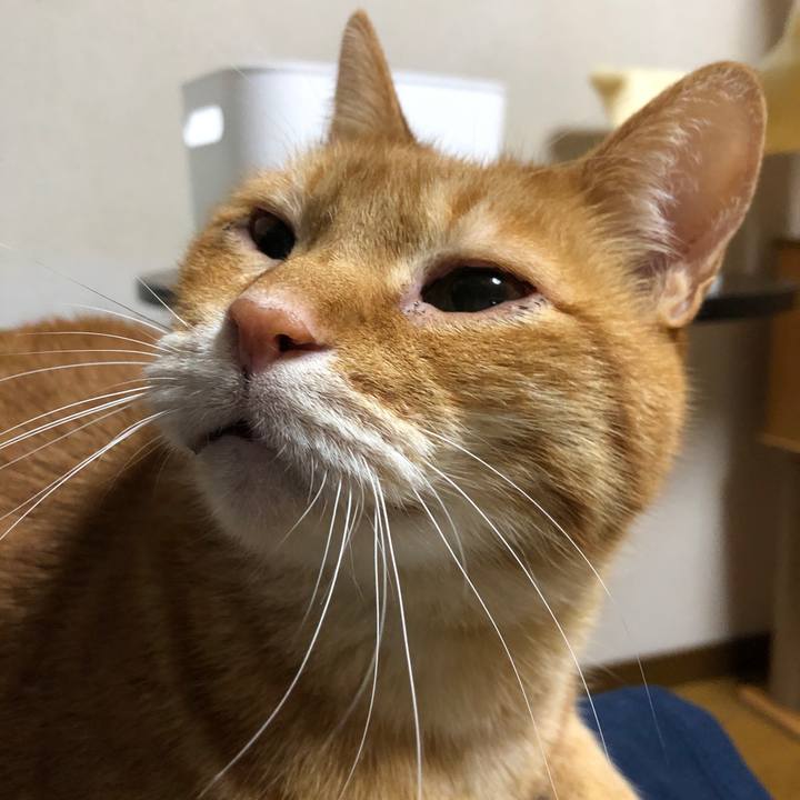 6b602c1a ae93 44f4 a857 550e3e9dae93 1741264291914